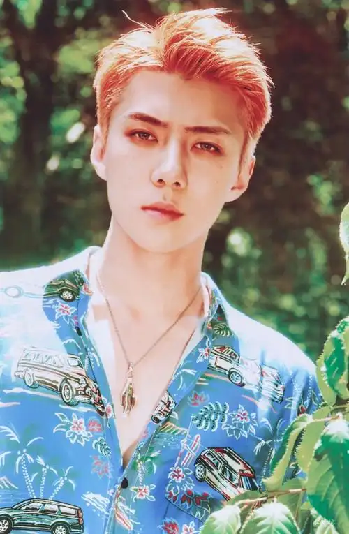 exo吴世勋sehuncrlikerose