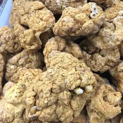 刘女士供应紫河车_中药材天地网