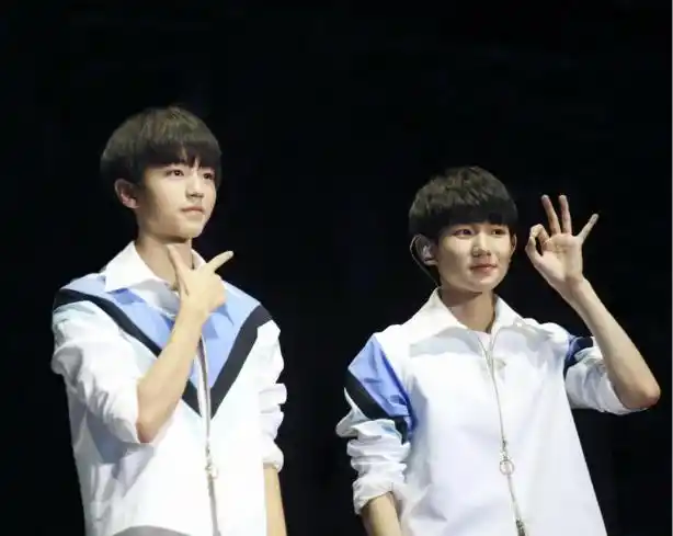 王俊凯和王源(图片来源网络)