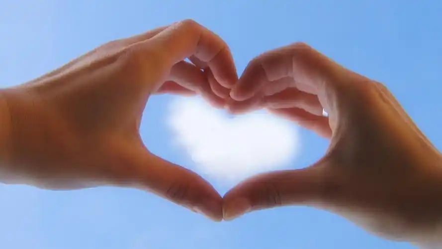 手心形爱心图片114