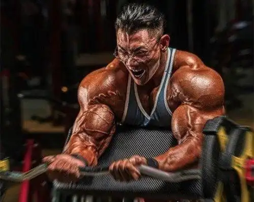 联赛男子健美职业无差别组冠军,凭借着一身完美,结实的肌肉获得冠军