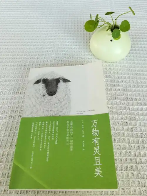 万物有灵且美万物美好世间可爱