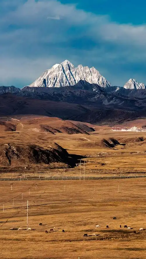 山前shotonhuaweip40pro