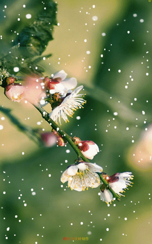 750_1200竖版 竖屏gif 动态图 动图