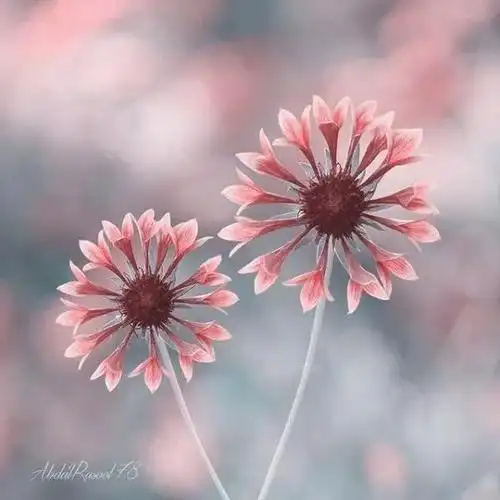 表达心情很愉快的句子3