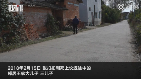 张扣扣被执行死刑 70秒回顾张扣扣故意杀人案始末