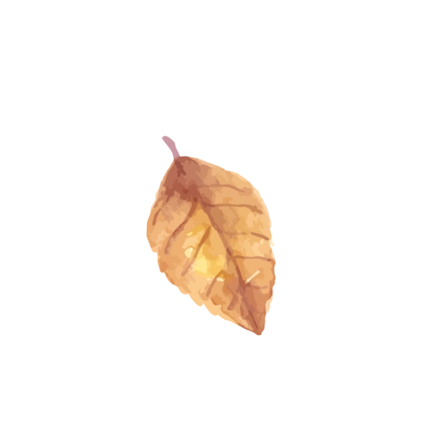 秋天素材图片大全