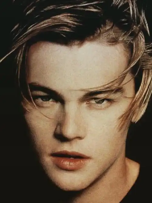 全球最帅男人之一 我觉得小李子年轻时的帅是帅的爆炸,帅的掉渣渣!