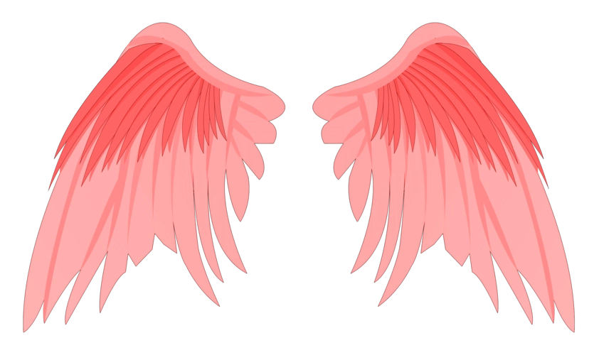 手绘天使的翅膀插画图片