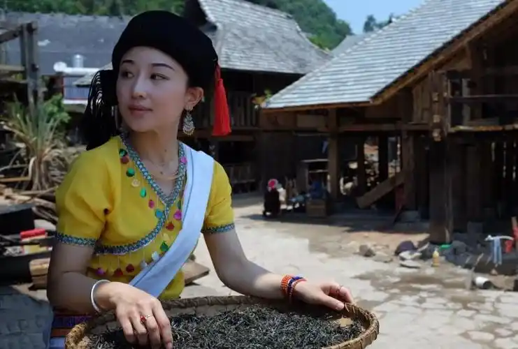 华夏风范丨千年茶农——布朗族