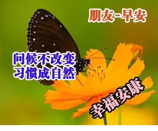 2022年清早大家早上好新版问候漂亮图片带字清晨早晨好问候动图说说