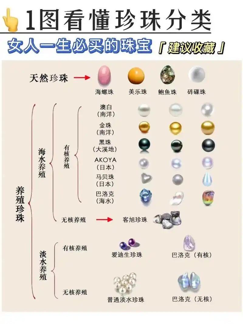 一张图看懂珍珠分类7515/买珍珠必看榜7515 最近嗅嗅收到很多