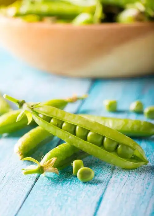 豌豆中的维生素a和维生素c含量较高,有助于保护视力,增强免疫力.