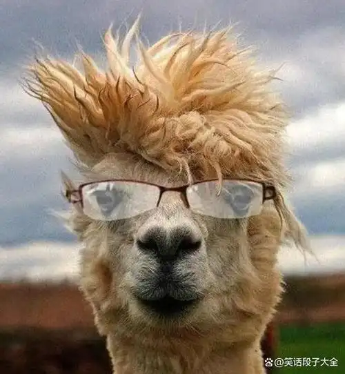 搞笑段子集锦:我有个三十几岁的兄弟,相亲五十多次都没成功过