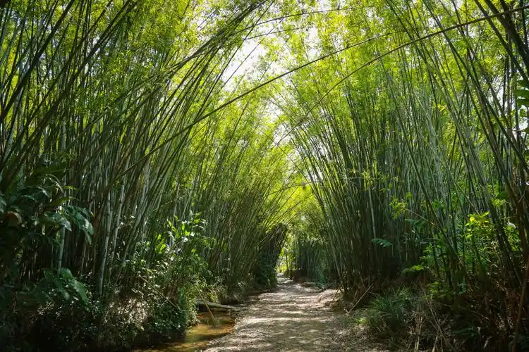 北大镇尖岭村探索"乡村旅游"发展模式 搞活乡村经济 - 美篇