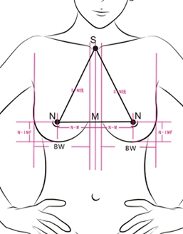 胸部美学五大金标准