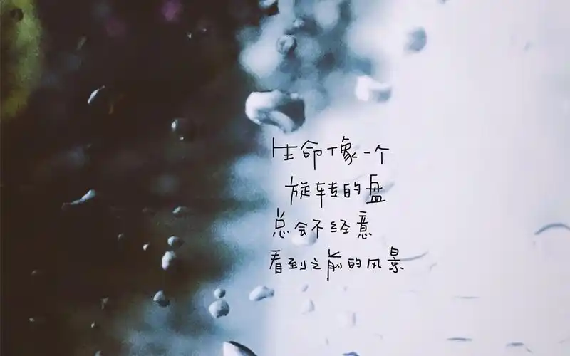 个性文字简约电脑桌面壁纸图片-高清壁纸-手机壁纸下载-美桌网