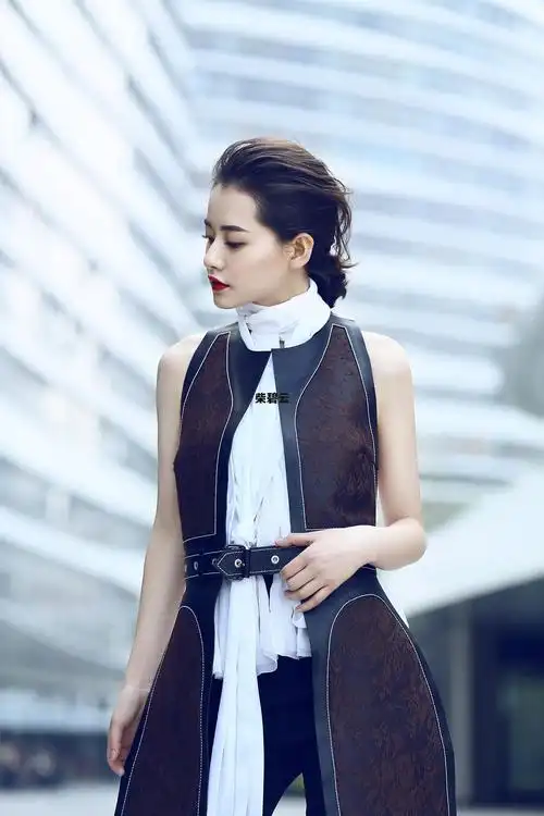 柴碧云简历个人资料简介_柴碧云