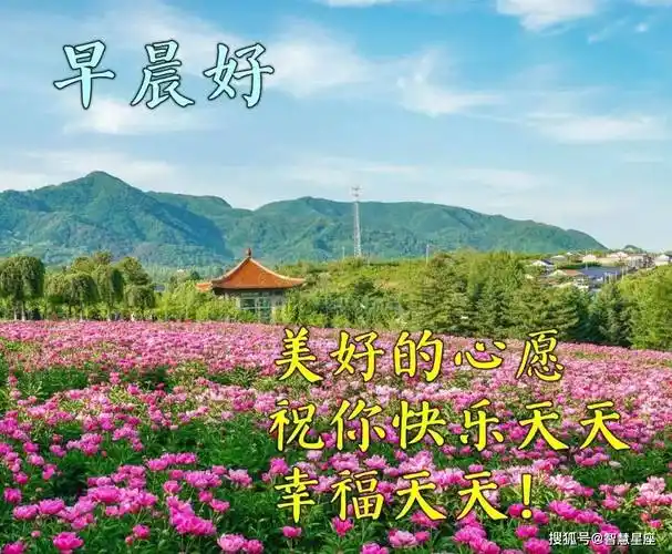 最漂亮的早安动态图片 早上好问候语图片动态带字