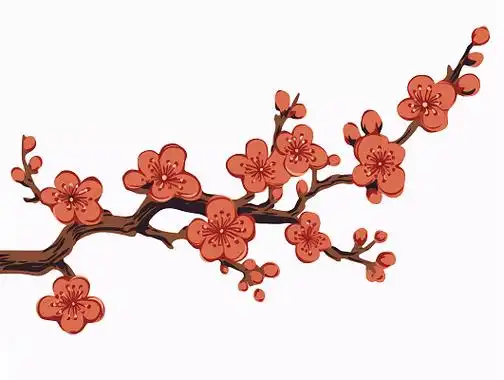 中国风古风卡通梅花手绘梅花素材插画腊梅植物树枝