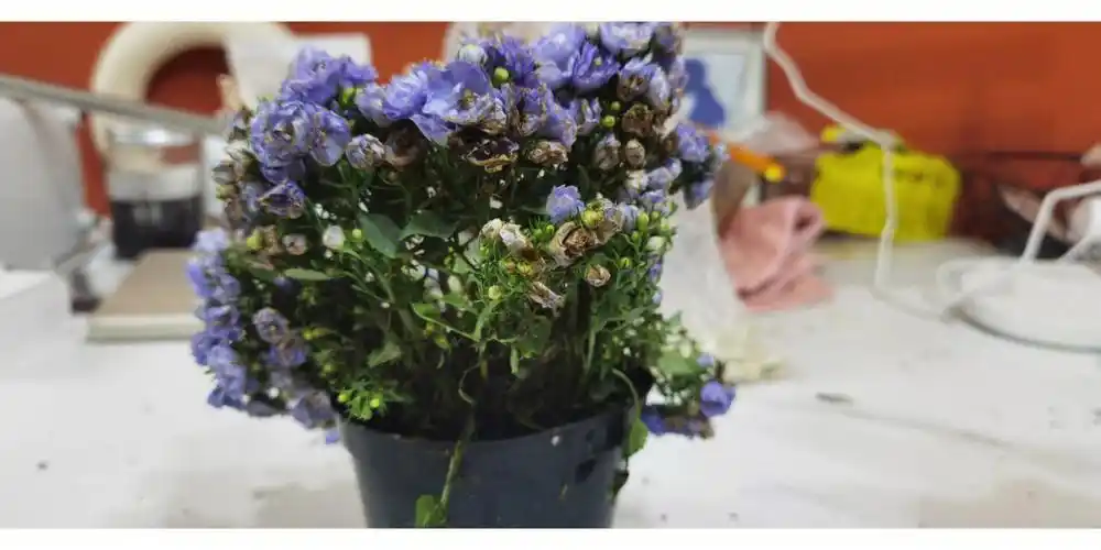 挑战全网最烂丹麦风铃