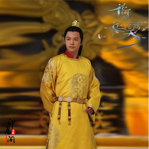 古装影视龙袍太子皇帝唐朝天同满天同开花花开民族服装