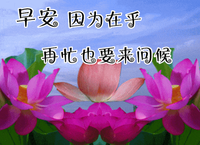 10月22日最漂亮早上好动态表情图片大全早晨好动图美图大全