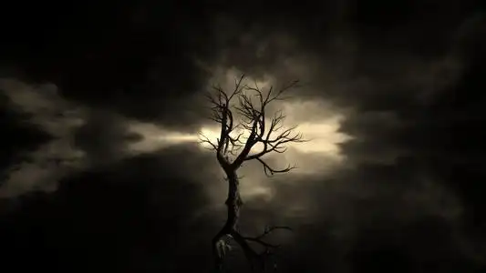 黎明前短暂的黑暗句子表示黎明前黑暗的句子