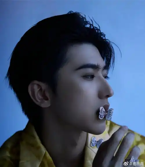 蔡徐坤超话#蔡徐坤顺毛侧颜##蔡徐坤范思哲全球品牌代言人##蔡徐坤