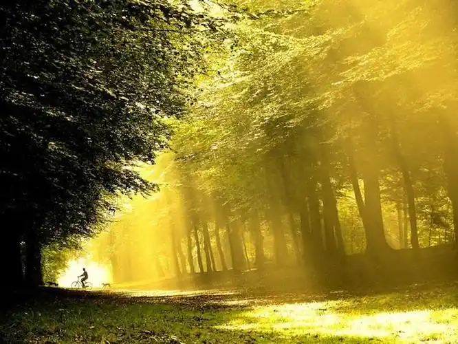 治愈你受伤心灵的唯美短句治愈系的唯美句子