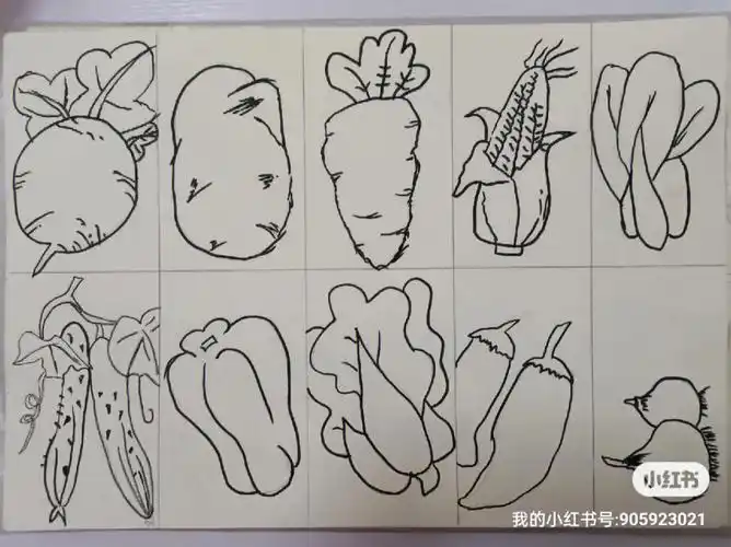 简笔画蔬菜篇