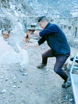 gif趣图集:君君君,整天刷抖音,嫁时小鲜肉,如今谢广坤