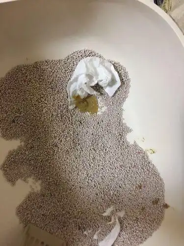 小猫腹泻拉水怎么办