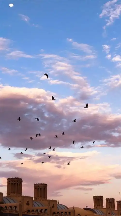 大自然生活随拍高清手机壁纸