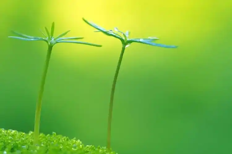 当你累了就默念这两句话,不论什么事,都会改变!