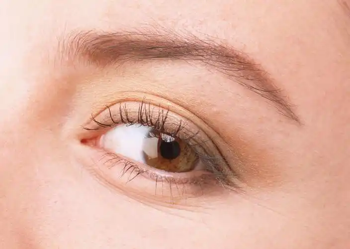 女士眉毛眼睛特写图片第16张