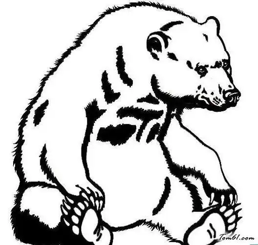 考拉熊猫狗熊的简笔画