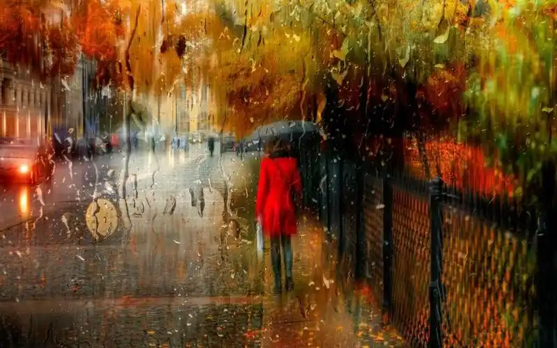 一个人雨中打伞孤单背影伤感图片