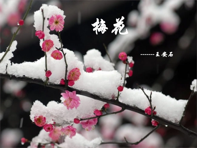 03 mb 字数:约小于1千字 发布时间:2019-04-17 浏览人气:7 下载次数