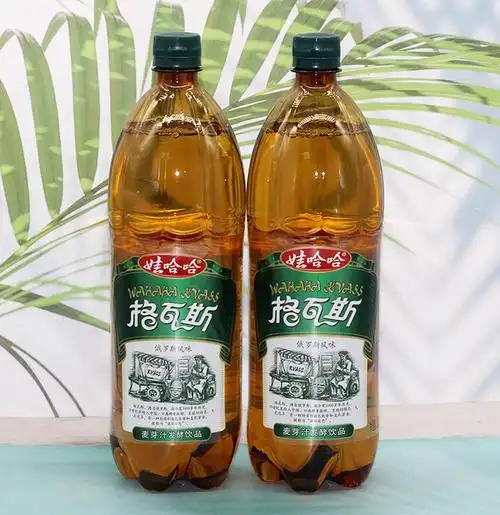 哈哈格瓦斯大小瓶网红饮料饮品1.