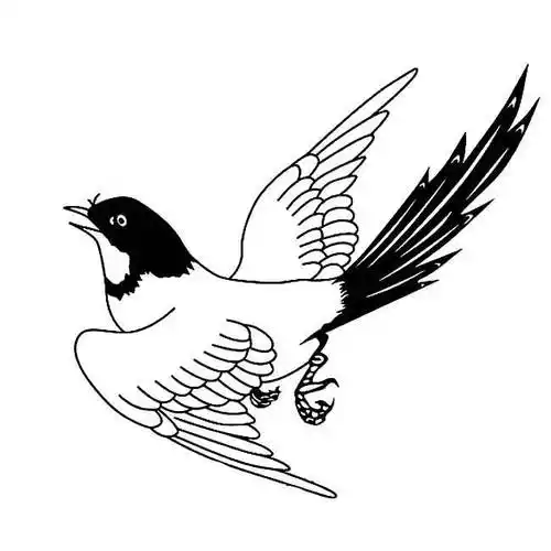 喜鹊简笔画 喜鹊简笔画简单又漂亮