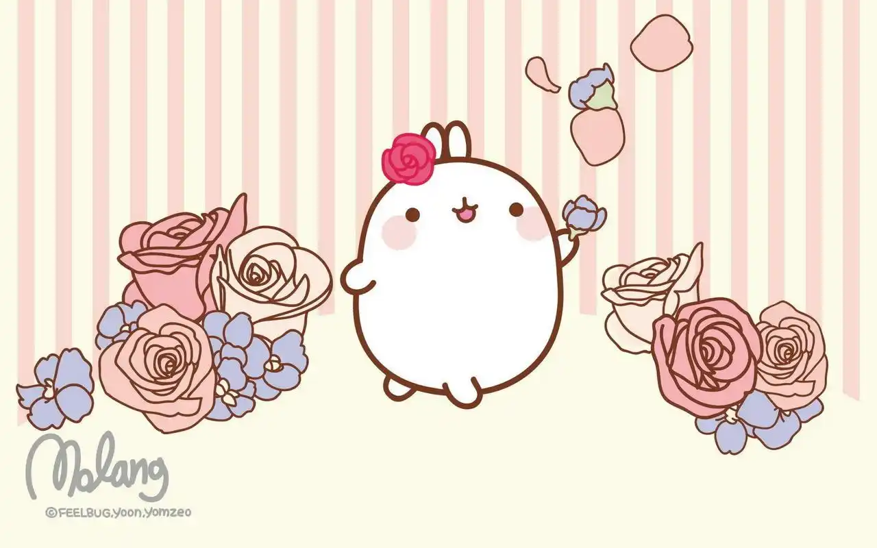 韩国可爱molang兔电脑壁纸高清大图预览1920x1200_卡通动漫下载_美桌
