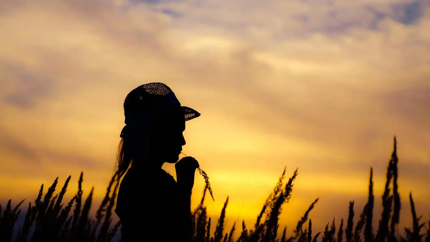 家中有这几个属相,再穷都能在五年内发家,一辈子都富贵多金!