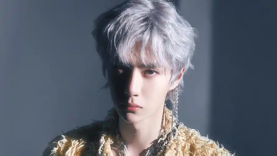 王一博壁纸是一款电脑壁纸,属于明星分类,王