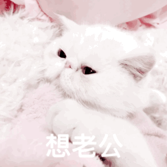 对象撒娇的表情包