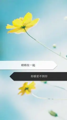 伤感悲伤带字说说配图