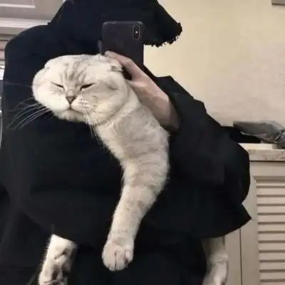 ins抱猫系列男生头像我想见你