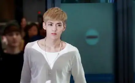 吴亦凡也是这样的一只,特别是黄发的时候,显得白净.