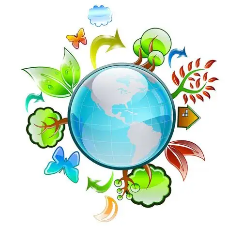 8月13日一二年级(一三五)综合创意(保护地球)