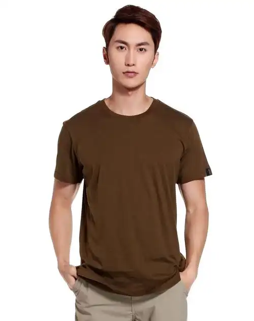 始祖鸟纯棉男款深棕色短袖t恤背印图